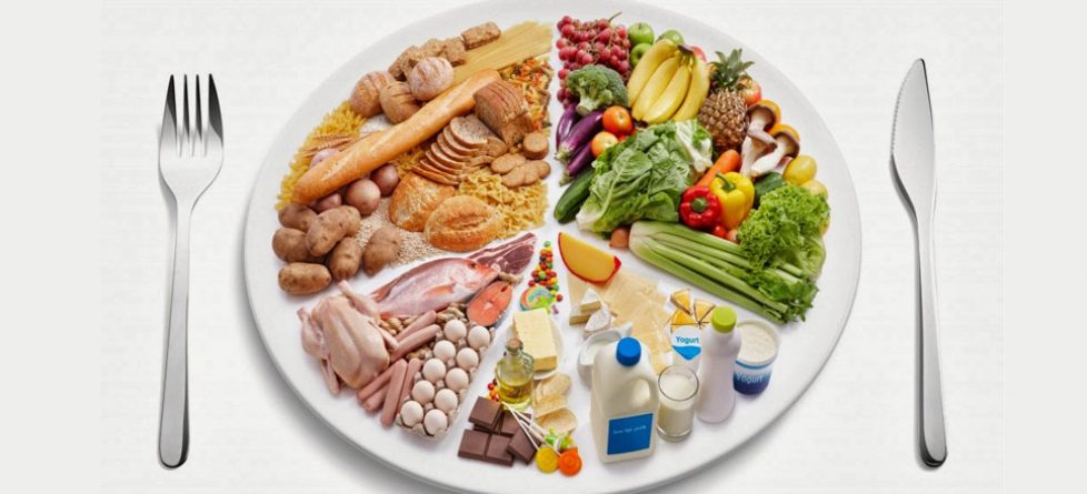 Tipos de dieta portada
