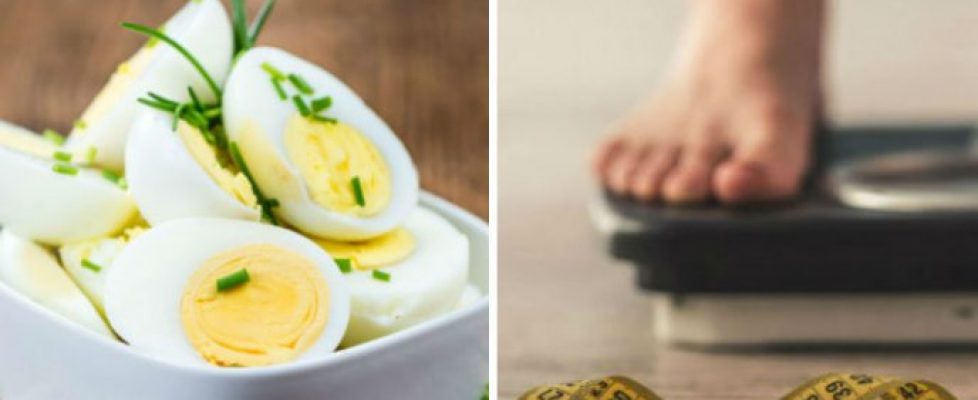 dieta huevo cocido portada