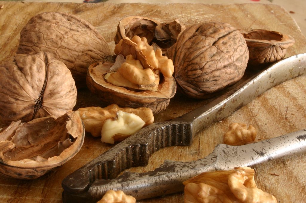 nueces